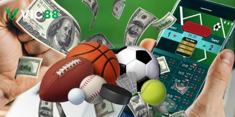 Kiểm tra điều kiện tham gia chương trình đại lý 